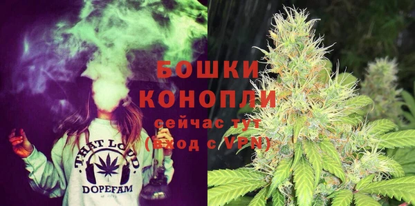 ПСИЛОЦИБИНОВЫЕ ГРИБЫ Вязники