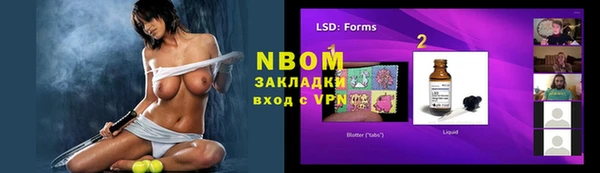 ПСИЛОЦИБИНОВЫЕ ГРИБЫ Вязники