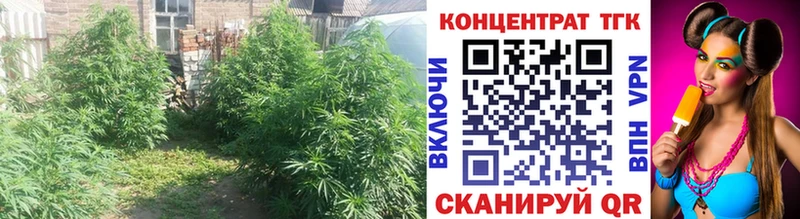 ТГК концентрат  Демидов 