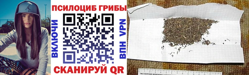 Галлюциногенные грибы GOLDEN TEACHER Демидов